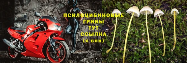ALPHA-PVP Белокуриха