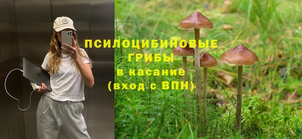 ALPHA-PVP Белокуриха