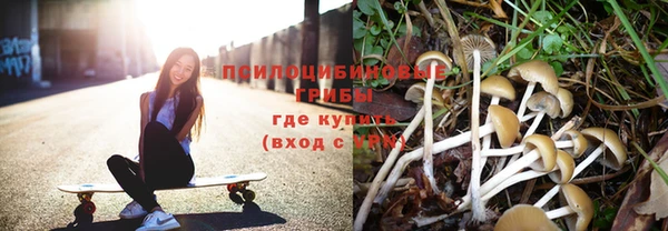 шишки Строитель