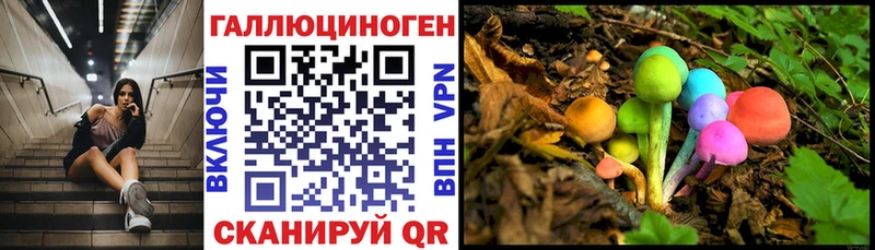 Галлюциногенные грибы Psilocybine cubensis  Мглин 