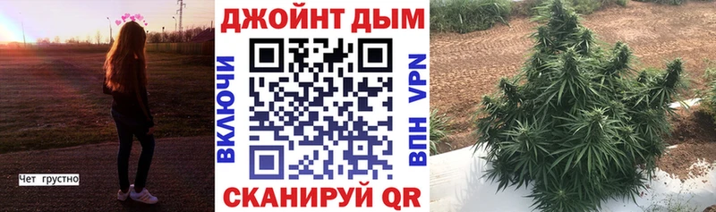 Бошки марихуана OG Kush  Мглин 